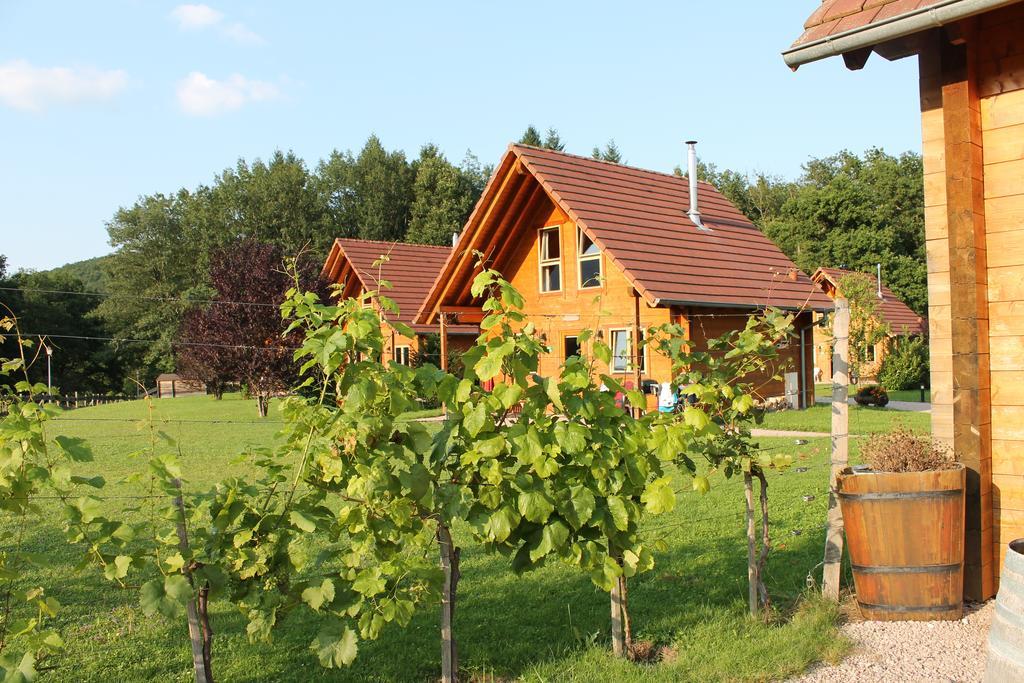 Au Hameau Des Sources Villa Soultzmatt Room photo